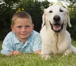 Hundehaftpflichtversicherung